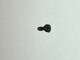 Surf Parts Store_SRF-PER-SCWS .jpg